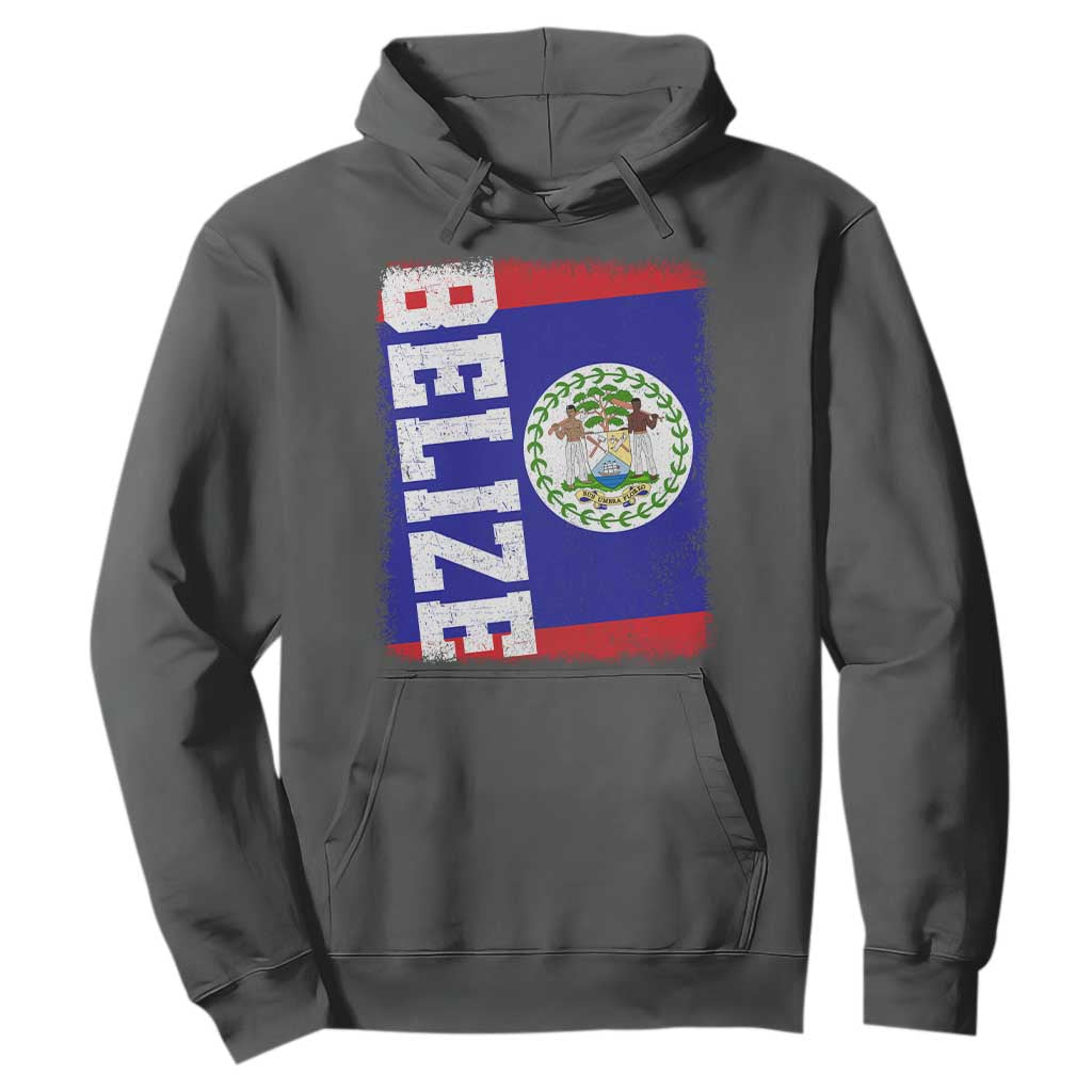 Vintage Belize Hoodie Distressed Flag Central American Pride Heritage Gift TS10 Dark Heather Print Your Wear