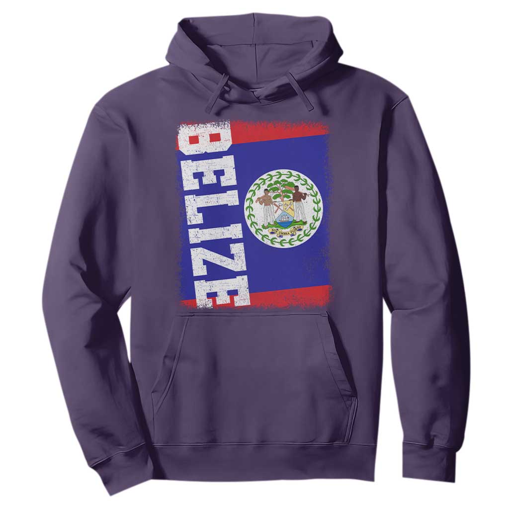 Vintage Belize Hoodie Distressed Flag Central American Pride Heritage Gift TS10 S Purple Print Your Wear