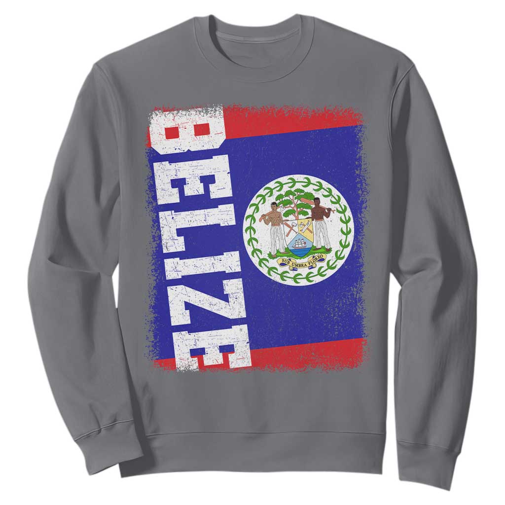 Vintage Belize Sweatshirt Distressed Flag Central American Pride Heritage Gift TS10 Charcoal Print Your Wear