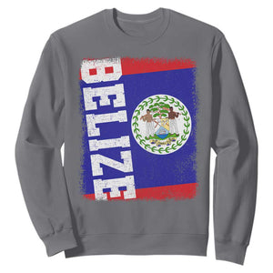 Vintage Belize Sweatshirt Distressed Flag Central American Pride Heritage Gift TS10 Charcoal Print Your Wear