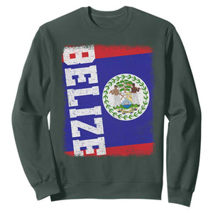 Vintage Belize Sweatshirt Distressed Flag Central American Pride Heritage Gift TS10 Dark Forest Green Print Your Wear