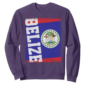 Vintage Belize Sweatshirt Distressed Flag Central American Pride Heritage Gift TS10 S Purple Print Your Wear