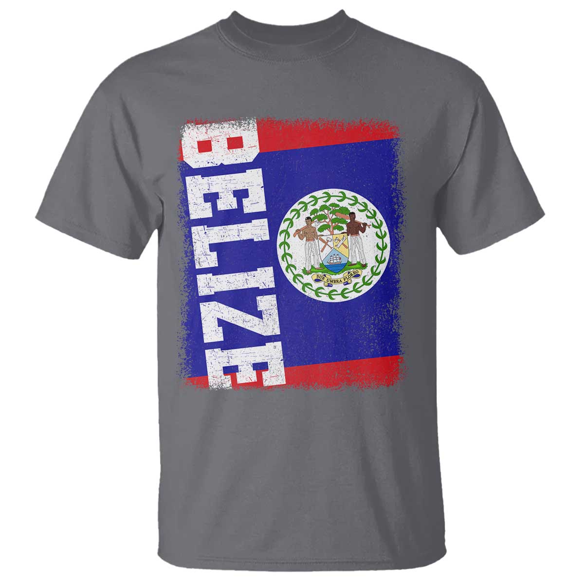 Vintage Belize T Shirt Distressed Flag Central American Pride Heritage Gift TS10 Charcoal Print Your Wear