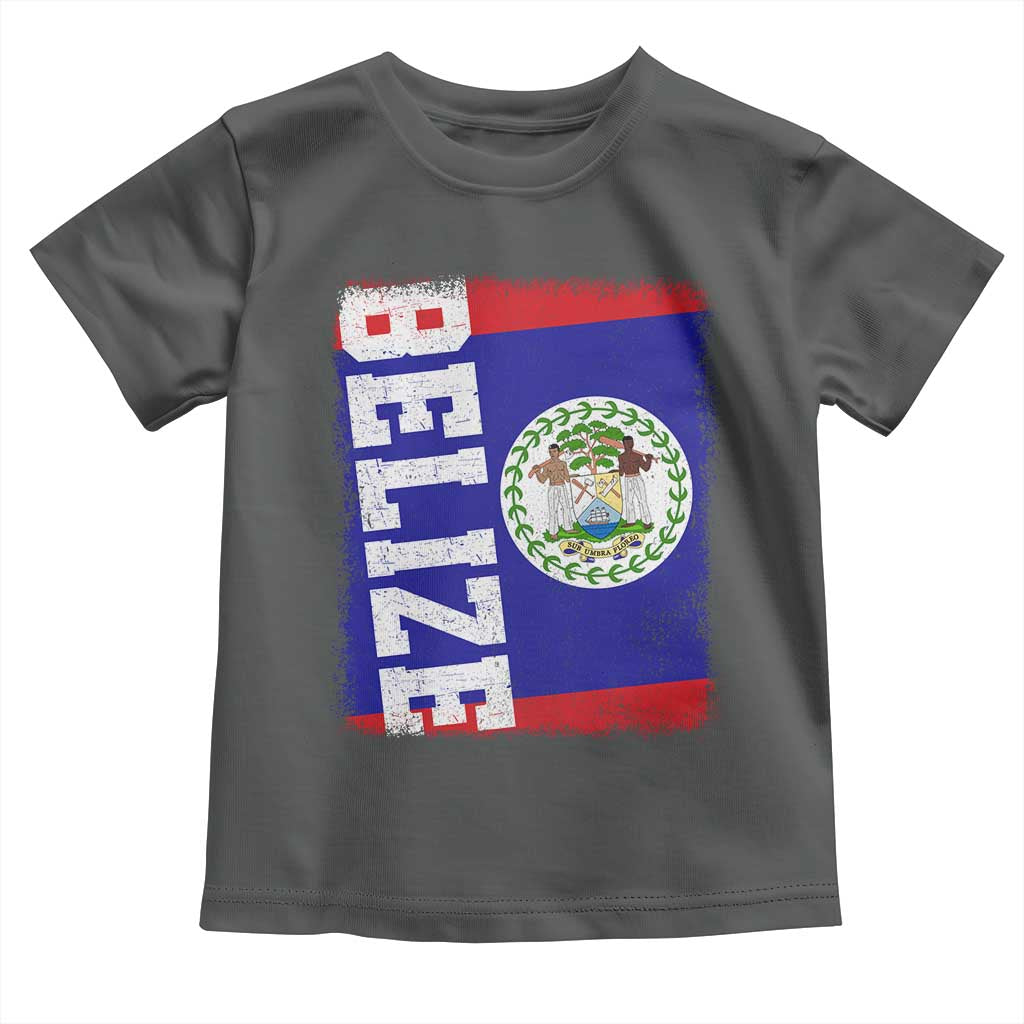 Vintage Belize Toddler T Shirt Distressed Flag Central American Pride Heritage Gift TS10 Dark Heather Print Your Wear