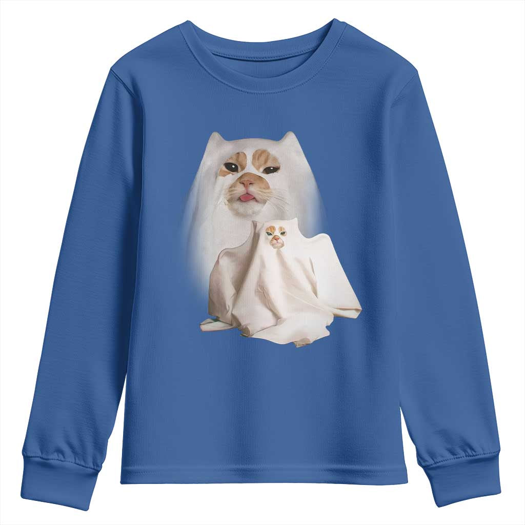 Funny Halloween Ghost Cat Meme Youth Sweatshirt TS10 Royal Blue Print Your Wear
