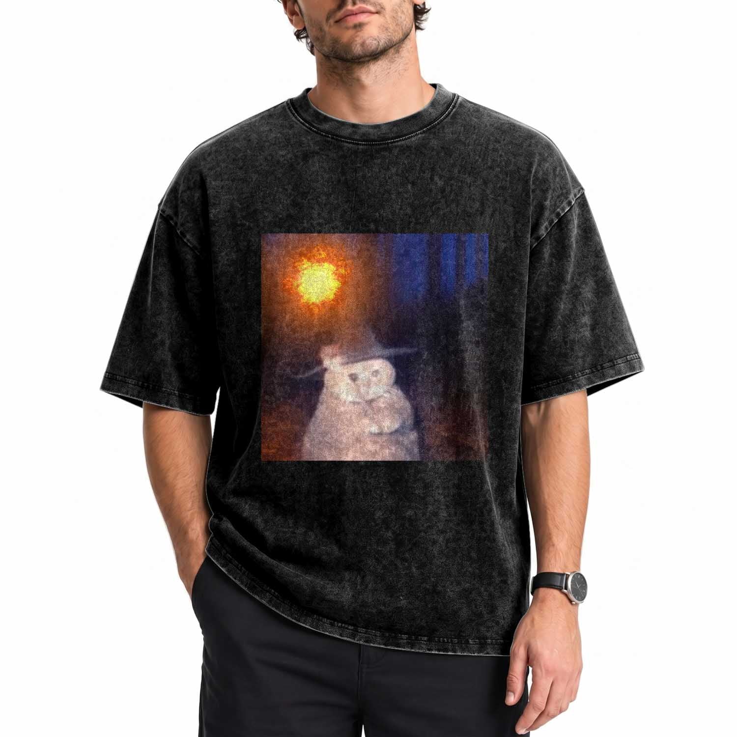 Wizard Cat Washed Cotton T-Shirt Weird Funny Retro Halloween Orange Cat Meme TS10 Print Your Wear