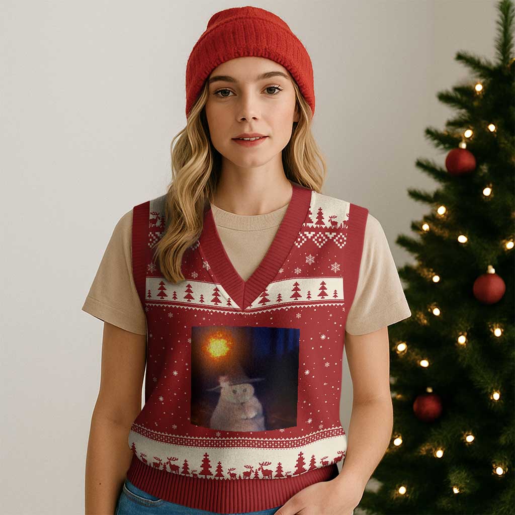 Wizard Cat V-Neck Knit Sweater Vest Weird Funny Retro Halloween Orange Cat Meme TS10 Red Beige Print Your Wear