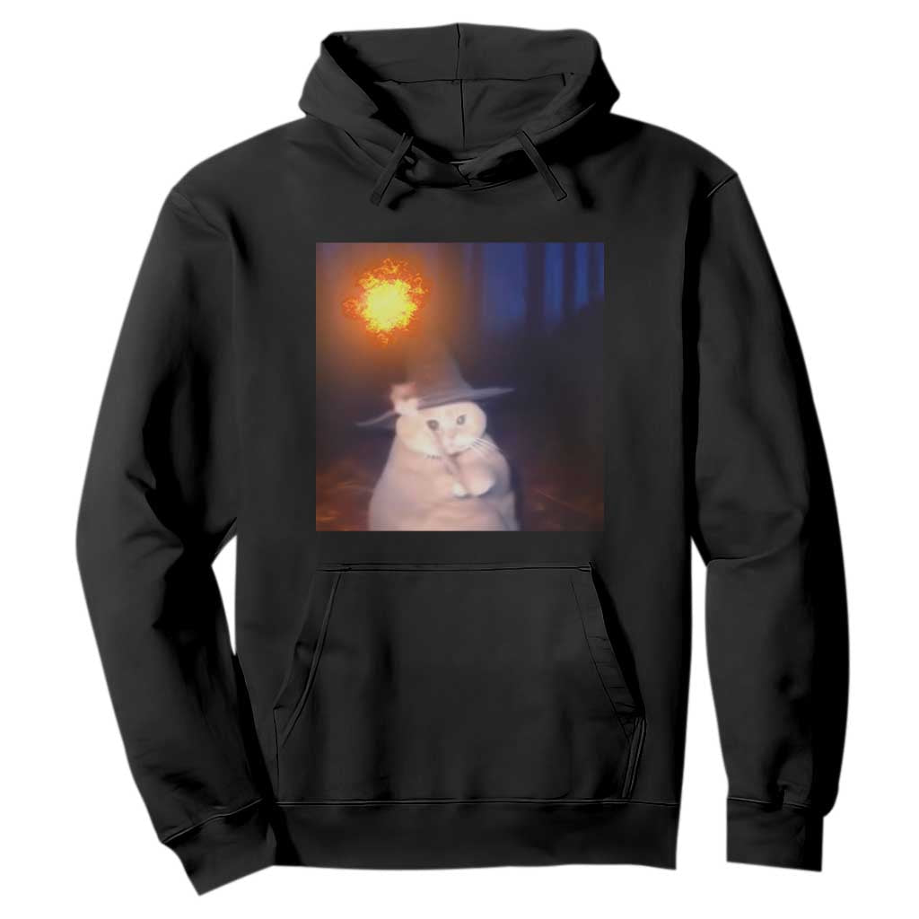 Wizard Cat Hoodie Weird Funny Retro Halloween Orange Cat Meme TS10 Black Print Your Wear