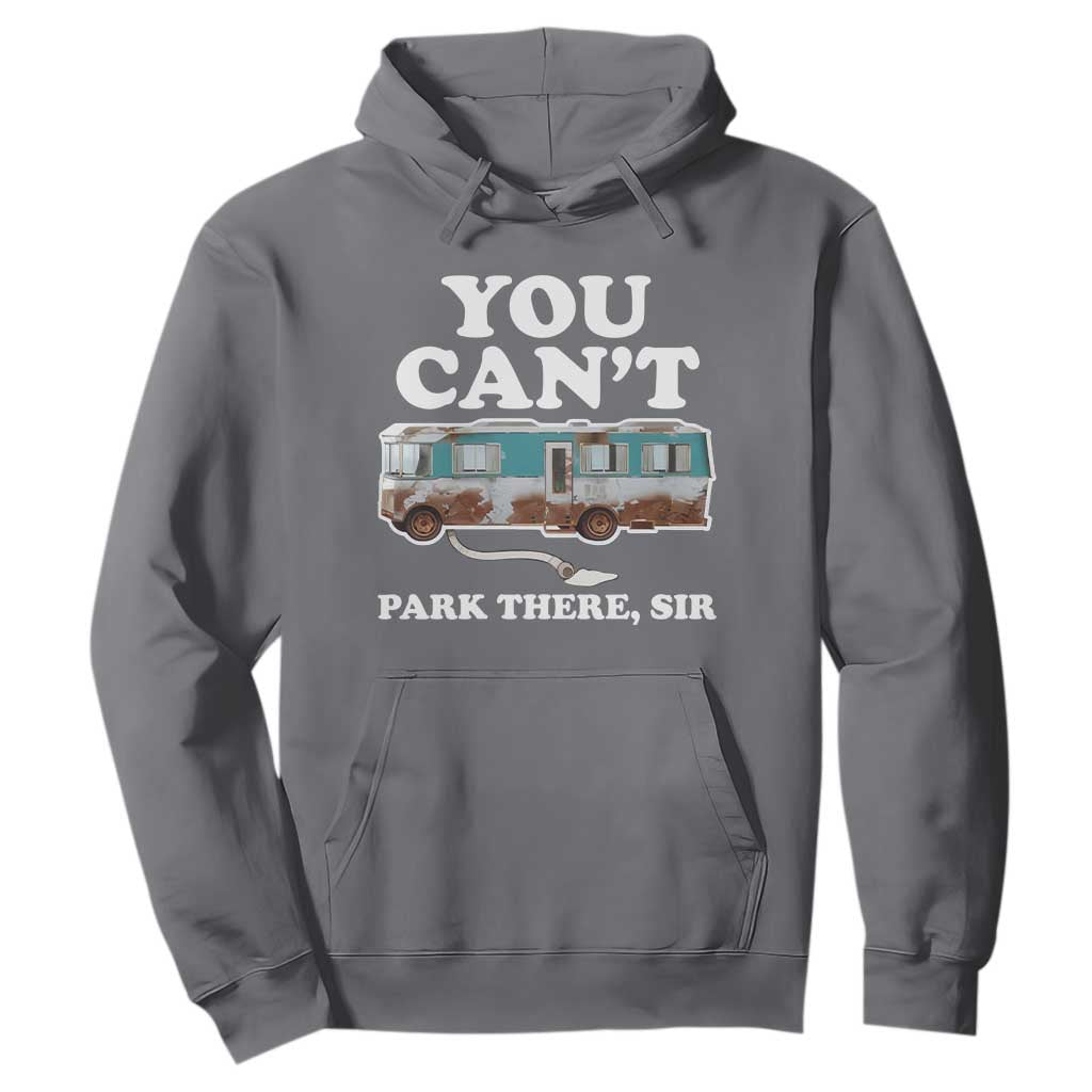 Xmas Movie Hoodie The Cousins RV Christmas Vacation Viral Internet Meme TS10 Charcoal Print Your Wear