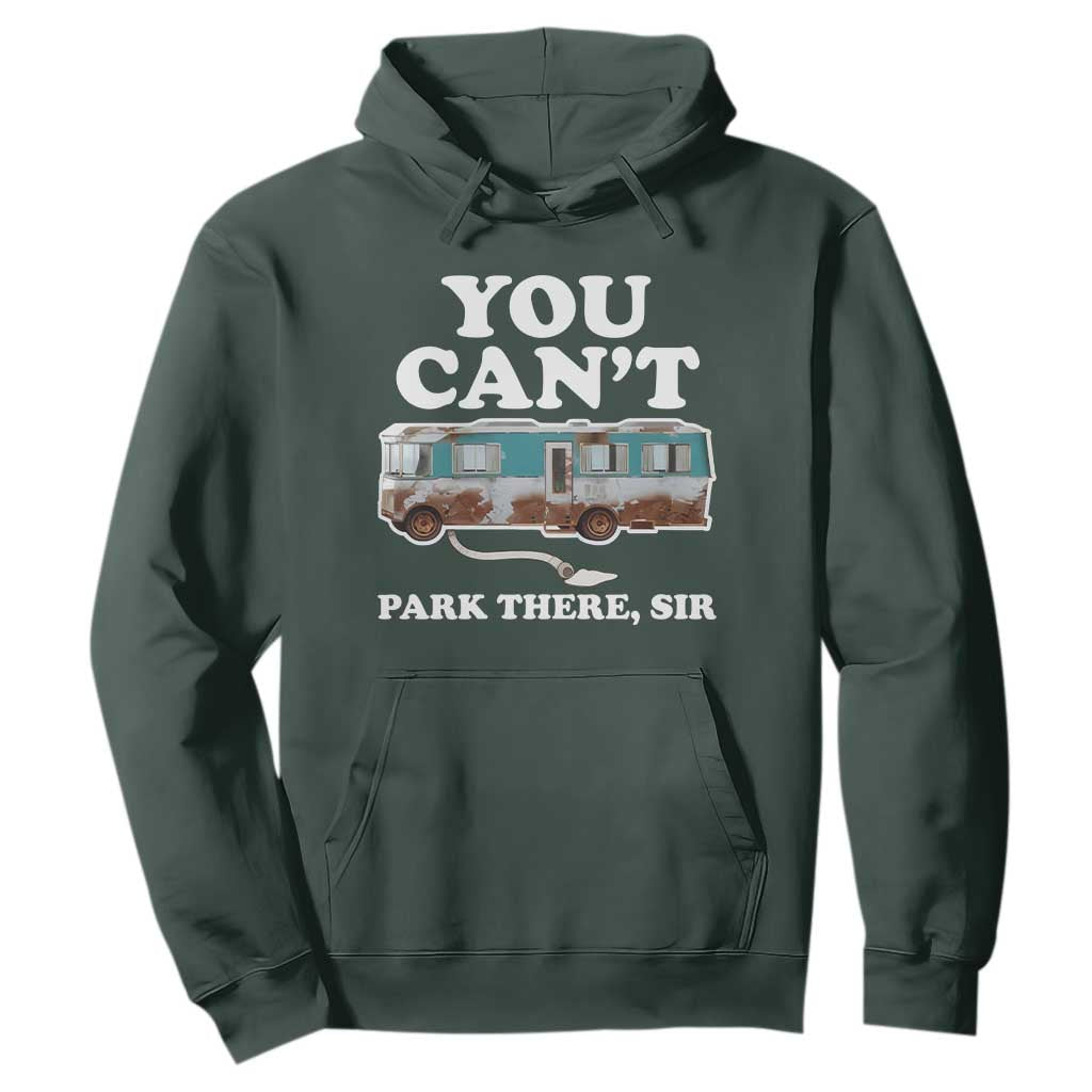 Xmas Movie Hoodie The Cousins RV Christmas Vacation Viral Internet Meme TS10 Dark Forest Green Print Your Wear