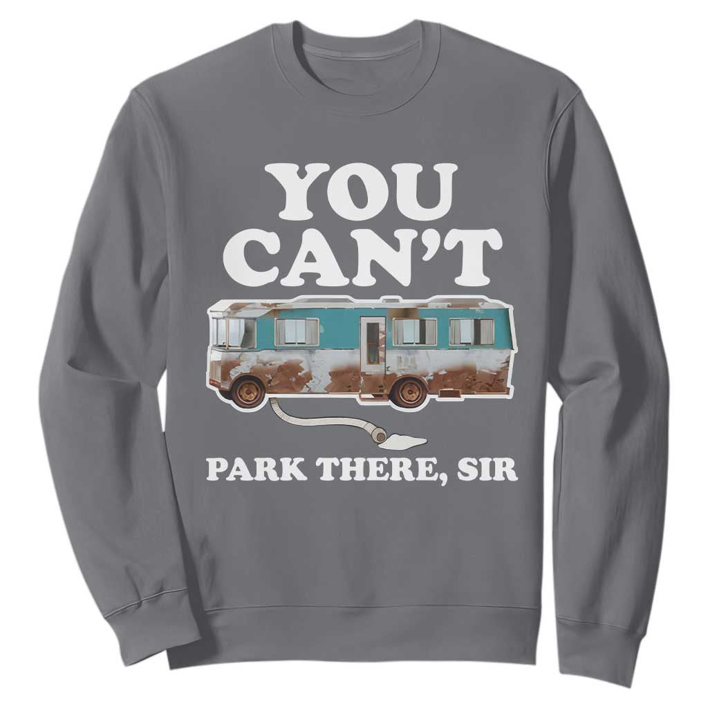 Xmas Movie Sweatshirt The Cousins RV Christmas Vacation Viral Internet Meme TS10 Charcoal Print Your Wear