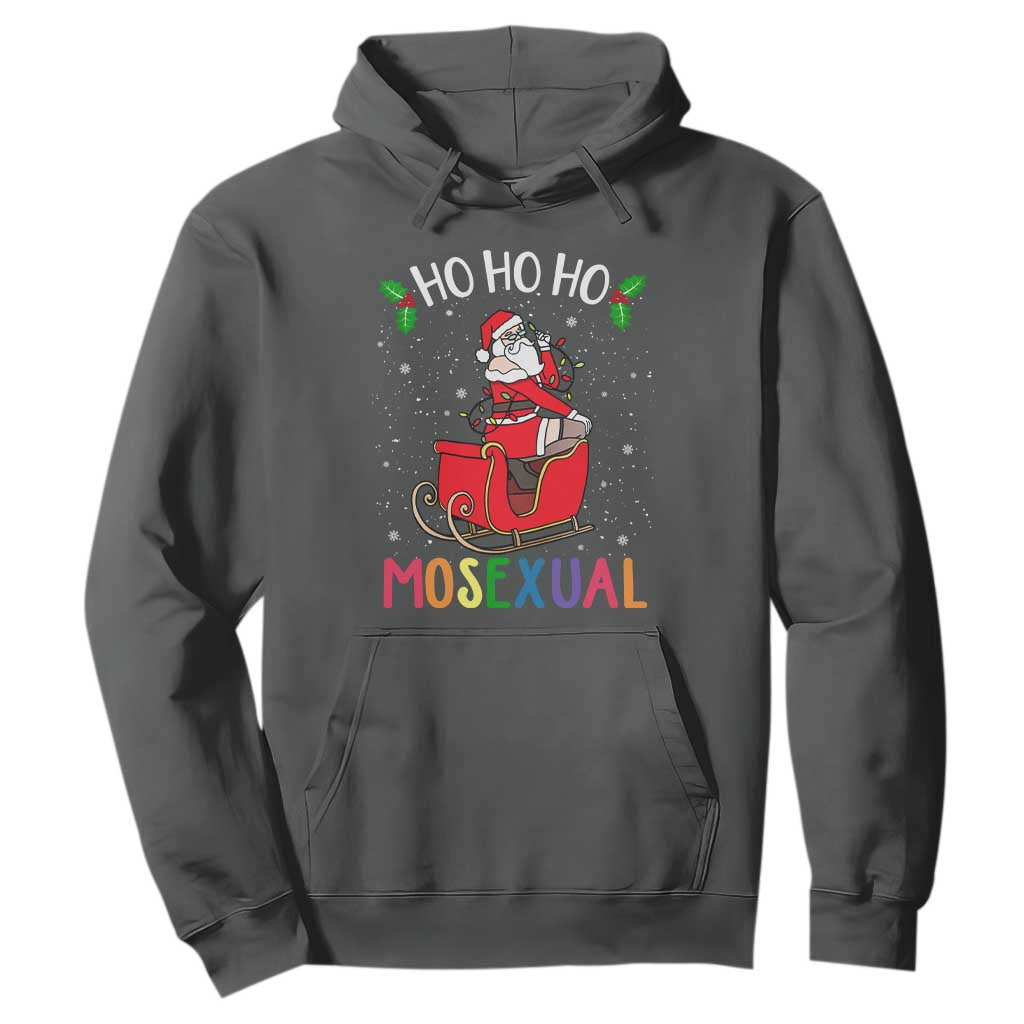 LGBTQ Christmas Hoodie Ho Ho Ho Mosexual Slay Santa LGBT Rainbow Pun Gay Pride TS10 Dark Heather Print Your Wear