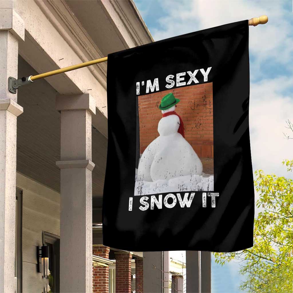 Sarcastic Snowman Garden Flag Funny Christmas I'm Sexy and I Snow It TS10 Print Your Wear