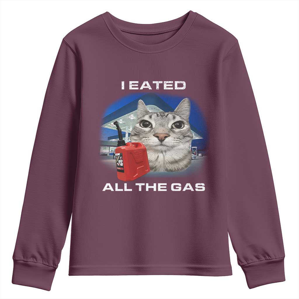 Sarcastic Cat Meme Youth Sweatshirt Funny Retro I Eated All The Gas Gen Z Humor TS10 Maroon Print Your Wear