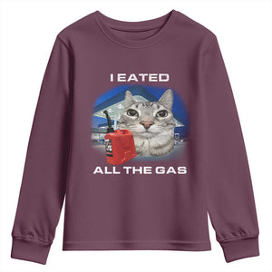 Sarcastic Cat Meme Youth Sweatshirt Funny Retro I Eated All The Gas Gen Z Humor TS10 Maroon Print Your Wear