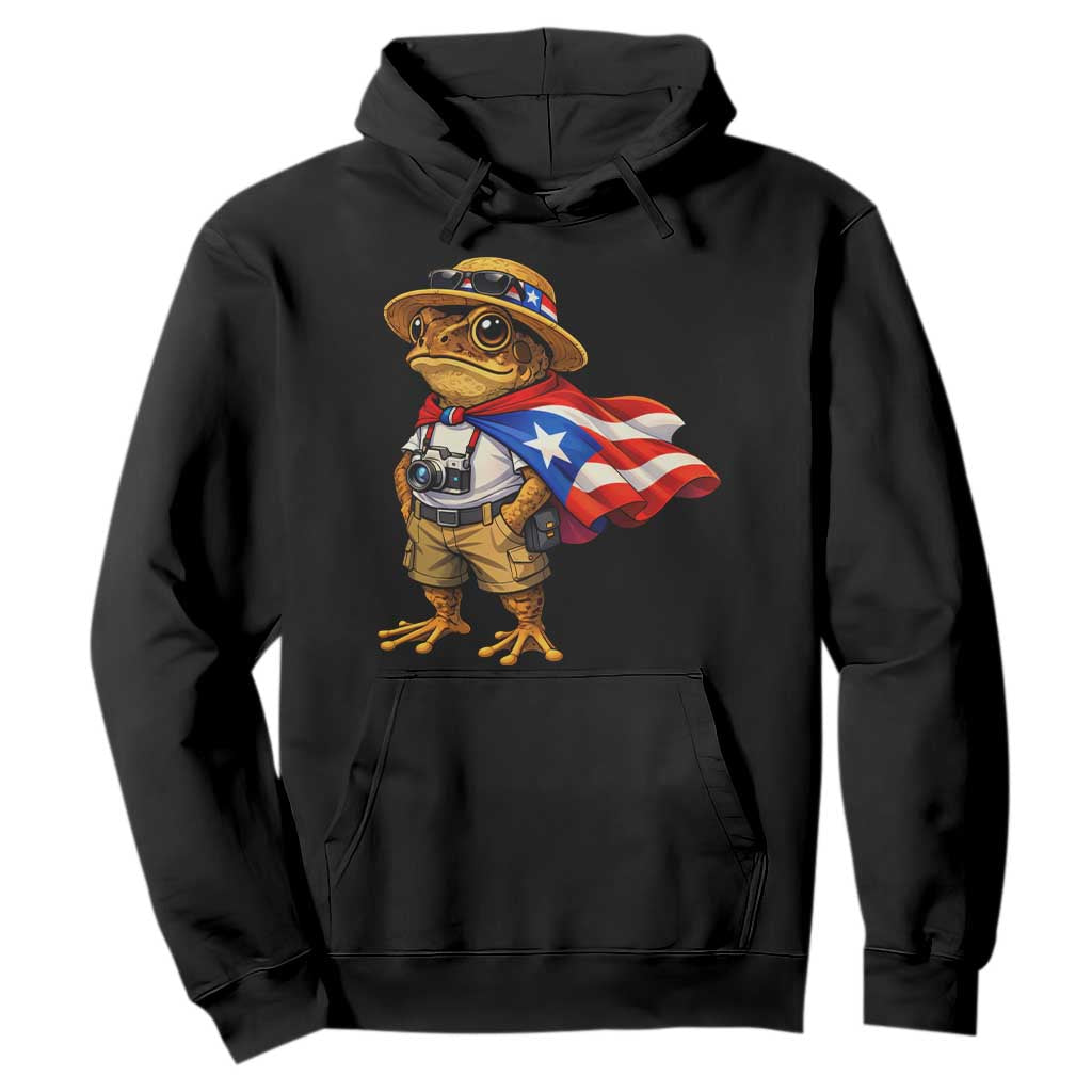 Coqui Frog Puerto Rico Flag Hoodie Puerto Rican Taino Boricua Vibes TS10 Black Print Your Wear