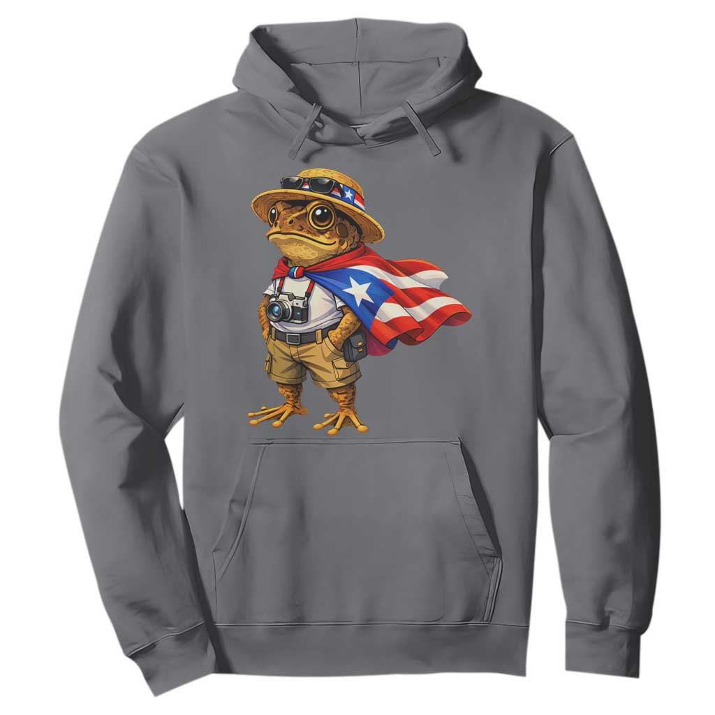 Coqui Frog Puerto Rico Flag Hoodie Puerto Rican Taino Boricua Vibes TS10 Charcoal Print Your Wear