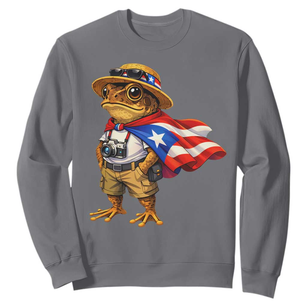 Coqui Frog Puerto Rico Flag Sweatshirt Puerto Rican Taino Boricua Vibes TS10 Charcoal Print Your Wear