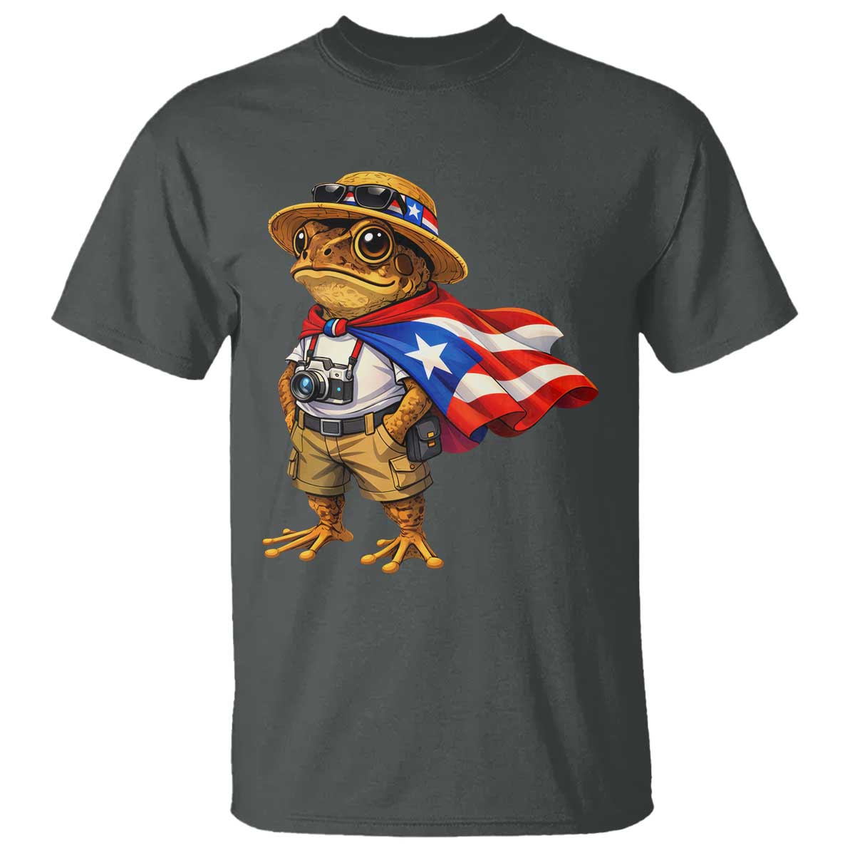 Coqui Frog Puerto Rico Flag T Shirt Puerto Rican Taino Boricua Vibes TS10 Dark Heather Print Your Wear