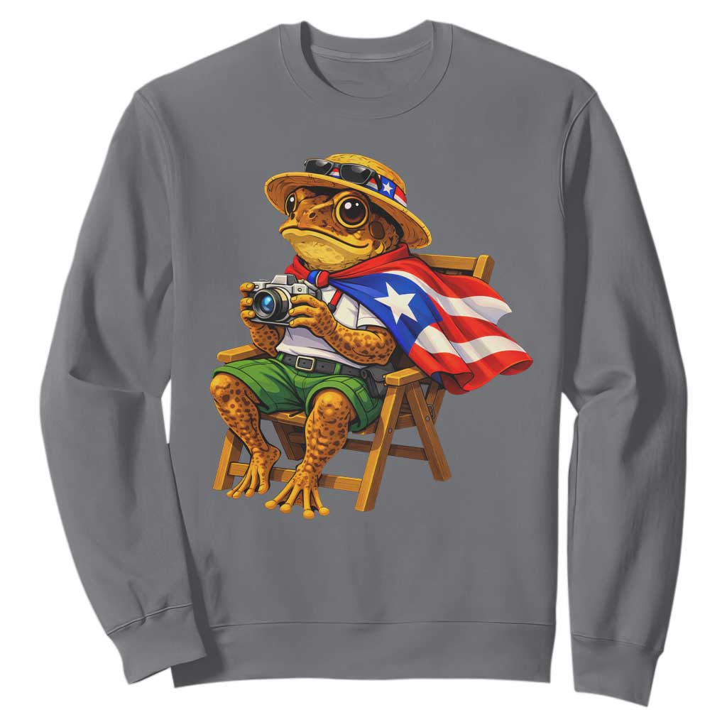 Funny Coqui Frog Puerto Rico Flag Sweatshirt Puerto Rican Taino Boricua Hispanic TS10 Charcoal Print Your Wear