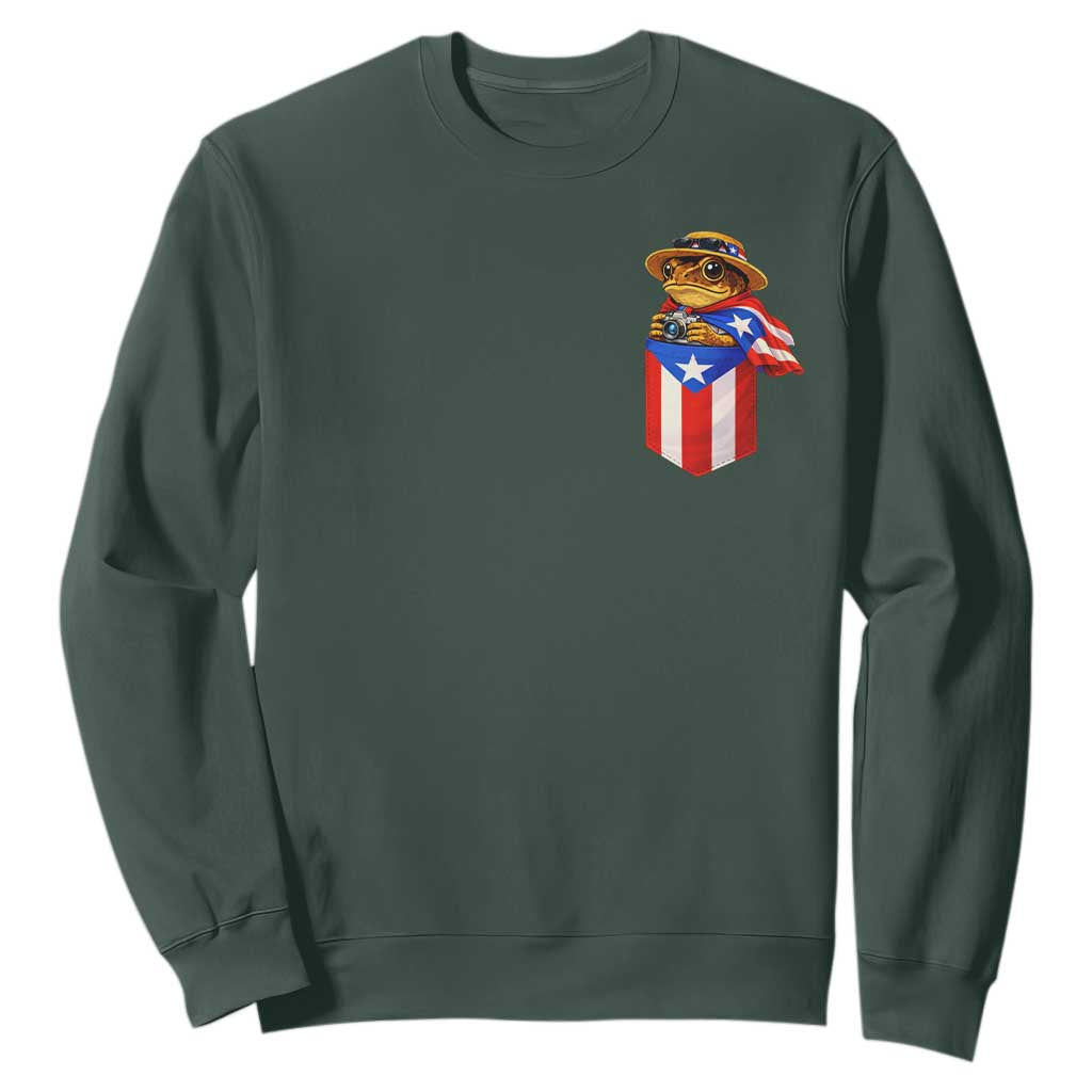 Funny Coqui Frog Puerto Rico Flag Sweatshirt Puerto Rican Taino Buricua Pocket Borinquen TS10 Dark Forest Green Print Your Wear
