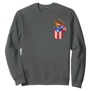 Funny Coqui Frog Puerto Rico Flag Sweatshirt Puerto Rican Taino Buricua Pocket Borinquen TS10 Dark Heather Print Your Wear
