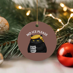 No ICE Protest Ceramic Ornament Is He Dead Yet Black Cat Meme TS10 1pc Mocha Print Your Wear