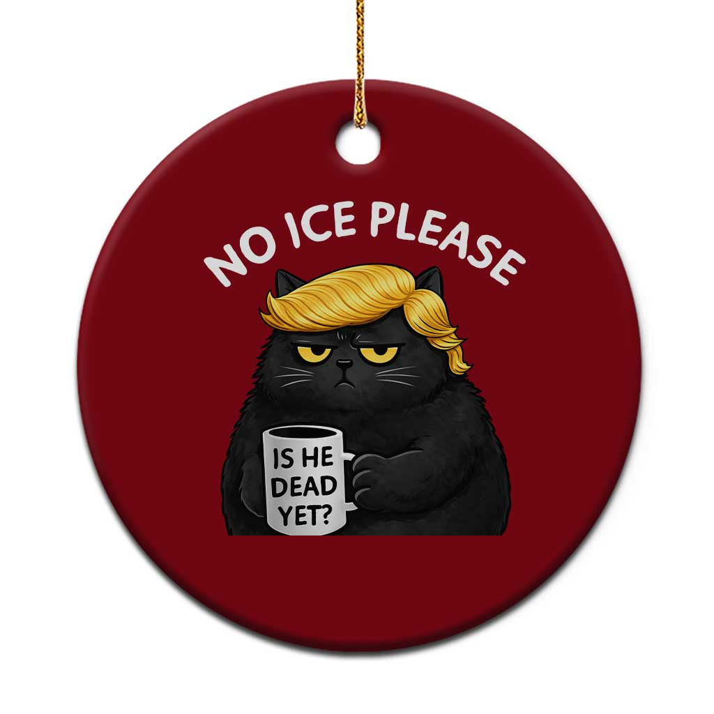 No ICE Protest Ceramic Ornament Is He Dead Yet Black Cat Meme TS10 1pc Red Print Your Wear