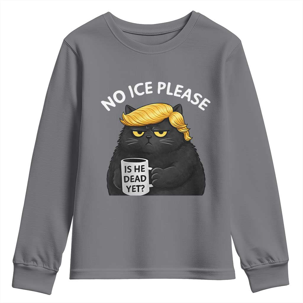 No ICE Protest Youth Sweatshirt Is He Dead Yet Black Cat Meme TS10 Charcoal Print Your Wear