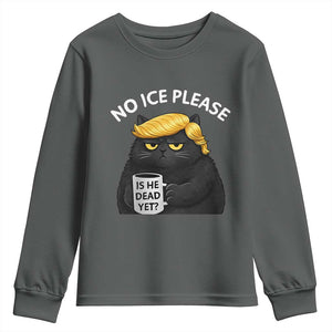 No ICE Protest Youth Sweatshirt Is He Dead Yet Black Cat Meme TS10 Dark Heather Print Your Wear