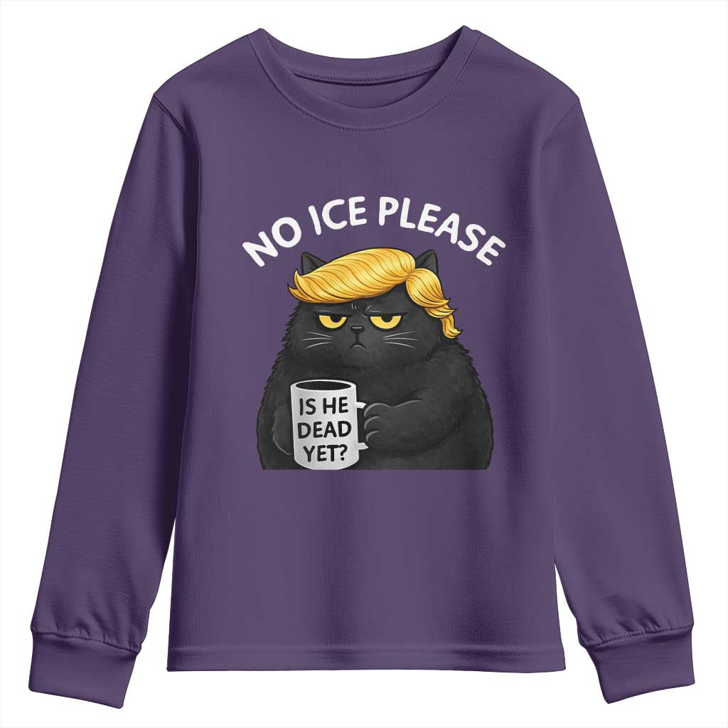 No ICE Protest Youth Sweatshirt Is He Dead Yet Black Cat Meme TS10 Purple Print Your Wear