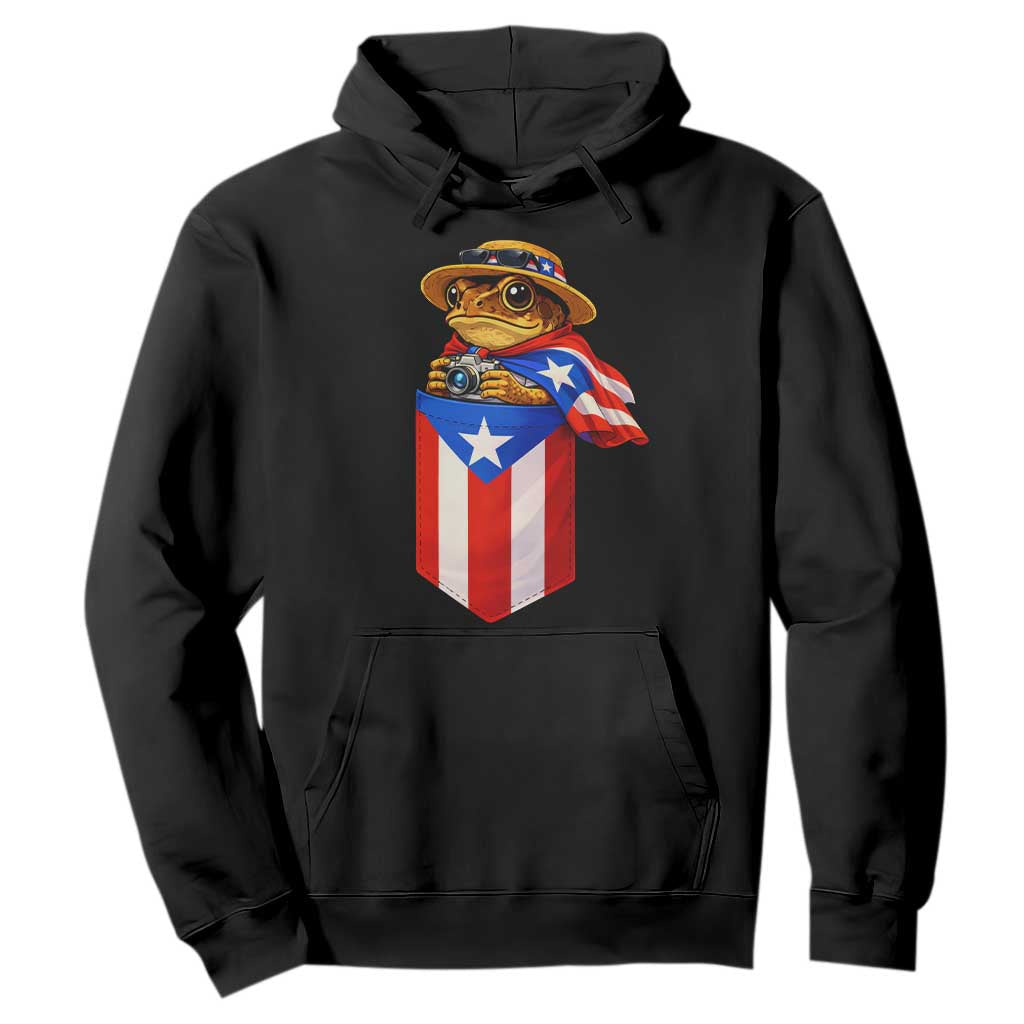 Funny Coqui Frog Puerto Rico Flag Hoodie Puerto Rican Taino Buricua Borinquen TS10 Black Print Your Wear