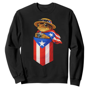 Funny Coqui Frog Puerto Rico Flag Sweatshirt Puerto Rican Taino Buricua Borinquen TS10 Black Print Your Wear