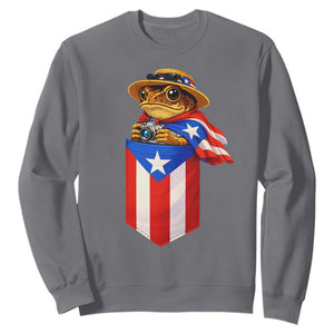 Funny Coqui Frog Puerto Rico Flag Sweatshirt Puerto Rican Taino Buricua Borinquen TS10 Charcoal Print Your Wear