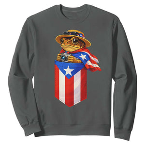 Funny Coqui Frog Puerto Rico Flag Sweatshirt Puerto Rican Taino Buricua Borinquen TS10 Dark Heather Print Your Wear