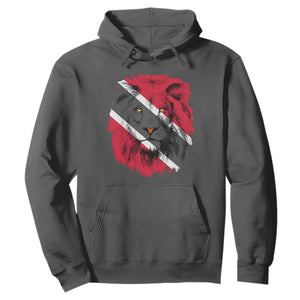 Trinidad and Tobago Flag Lion Hoodie Caribbean Souvenir TS10 Dark Heather Print Your Wear