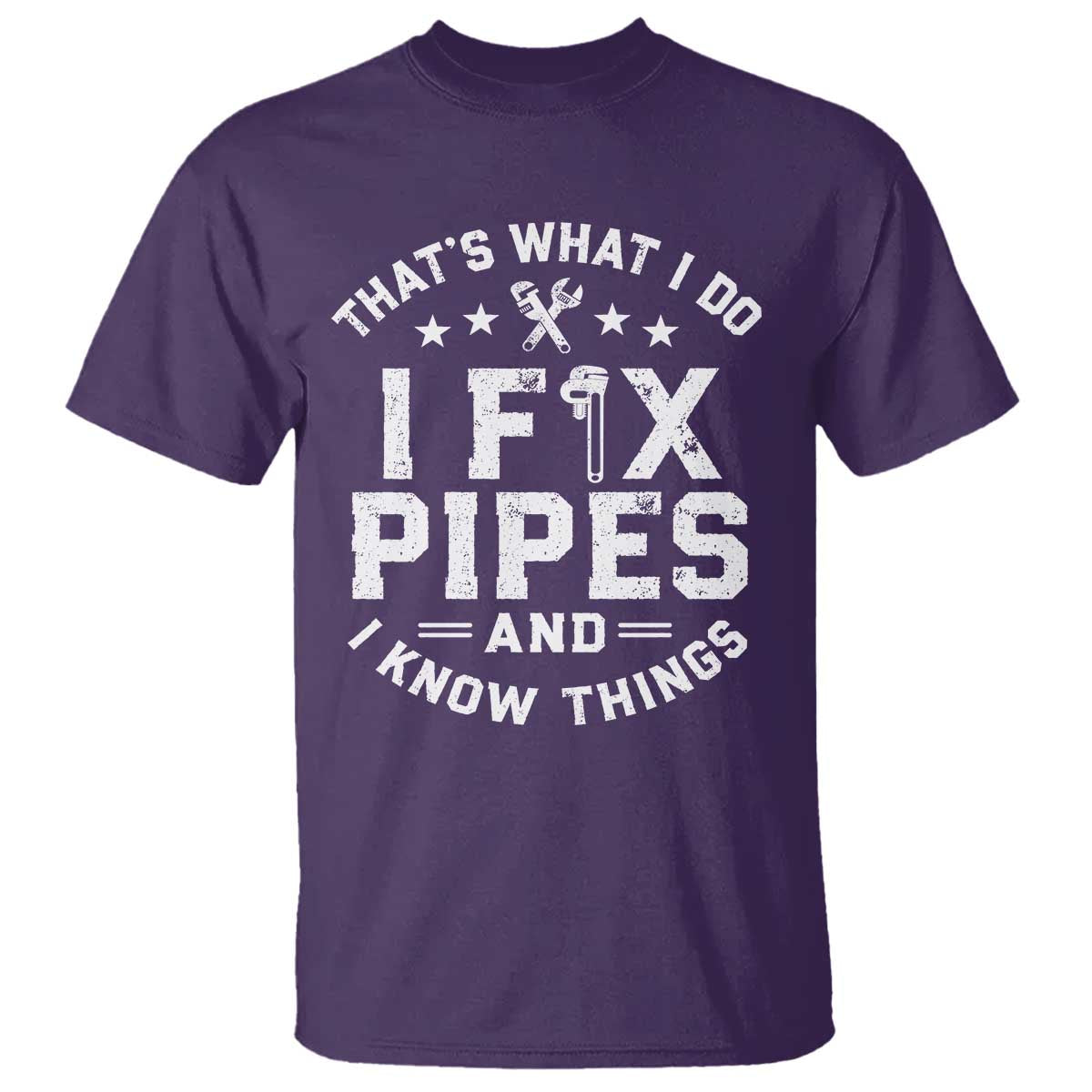 Funny Plumber T Shirt Thats What I Do I Fix Pipes And I Know Things Graphic TS10 Purple Print Your Wear