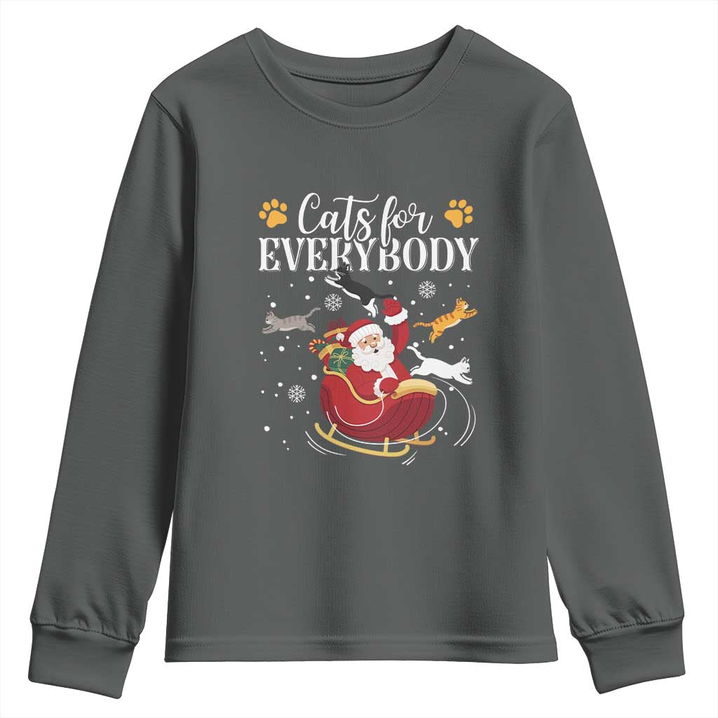 Christmas Cat Lover Youth Sweatshirt Cats For Everybody Funny Xmas TS10 Dark Heather Print Your Wear
