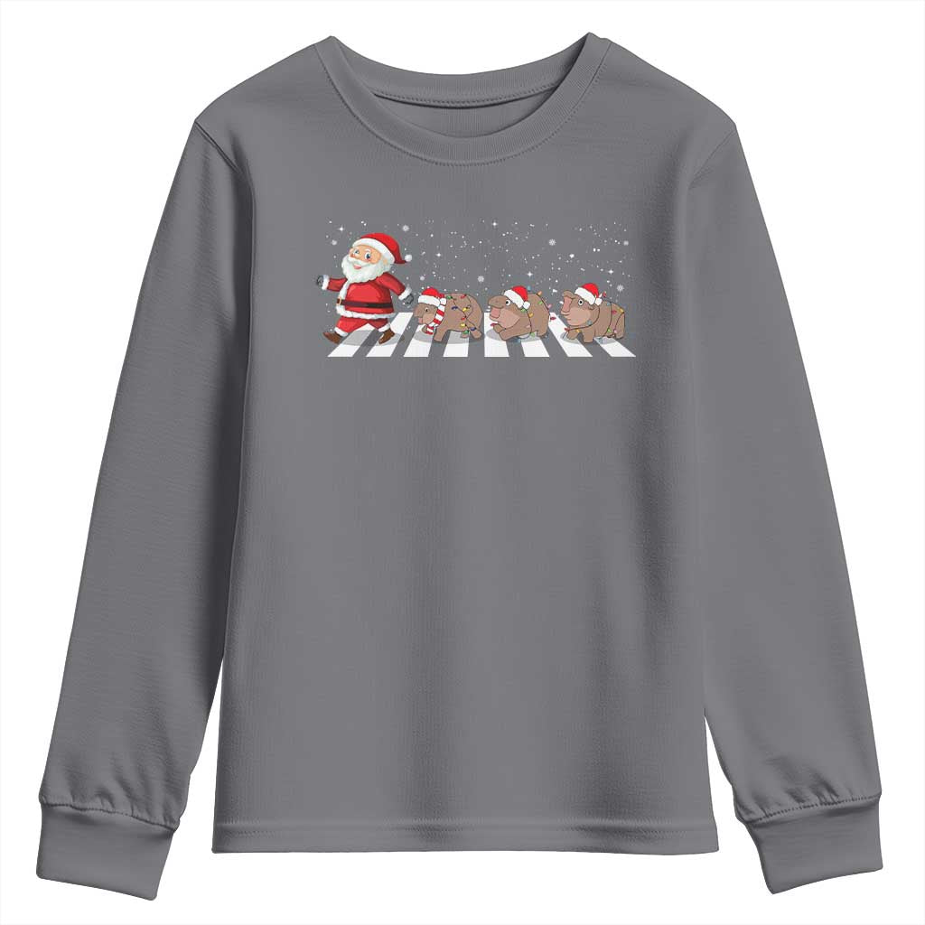 Christmas Moo Deng Youth Sweatshirt Santa Baby Pygmy Hippo Trendy Xmas TS10 Charcoal Print Your Wear