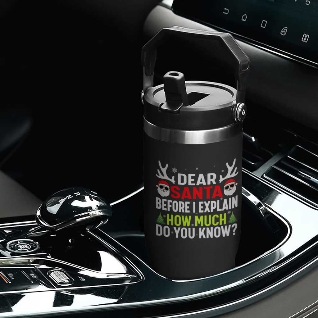 Funny Christmas Flip Straw Tumbler Dear Santa I Can Explain How Much Do You Know TS10 Print Your Wear