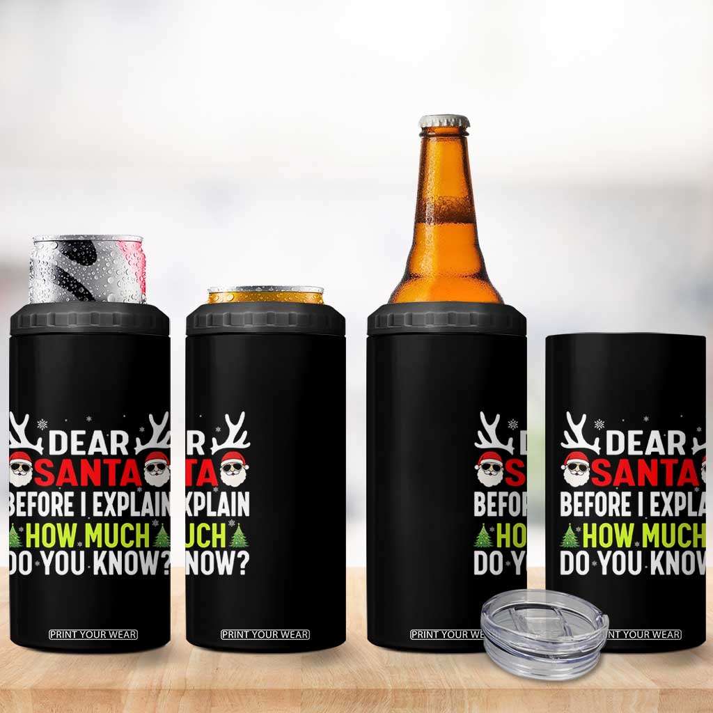 Funny Christmas 4 in 1 Can Cooler Tumbler Dear Santa I Can Explain How Much Do You Know TS10 Print Your Wear