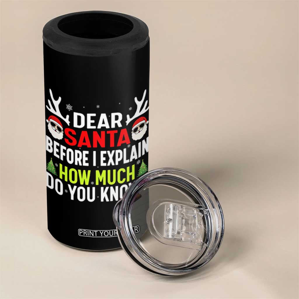 Funny Christmas 4 in 1 Can Cooler Tumbler Dear Santa I Can Explain How Much Do You Know TS10 Print Your Wear