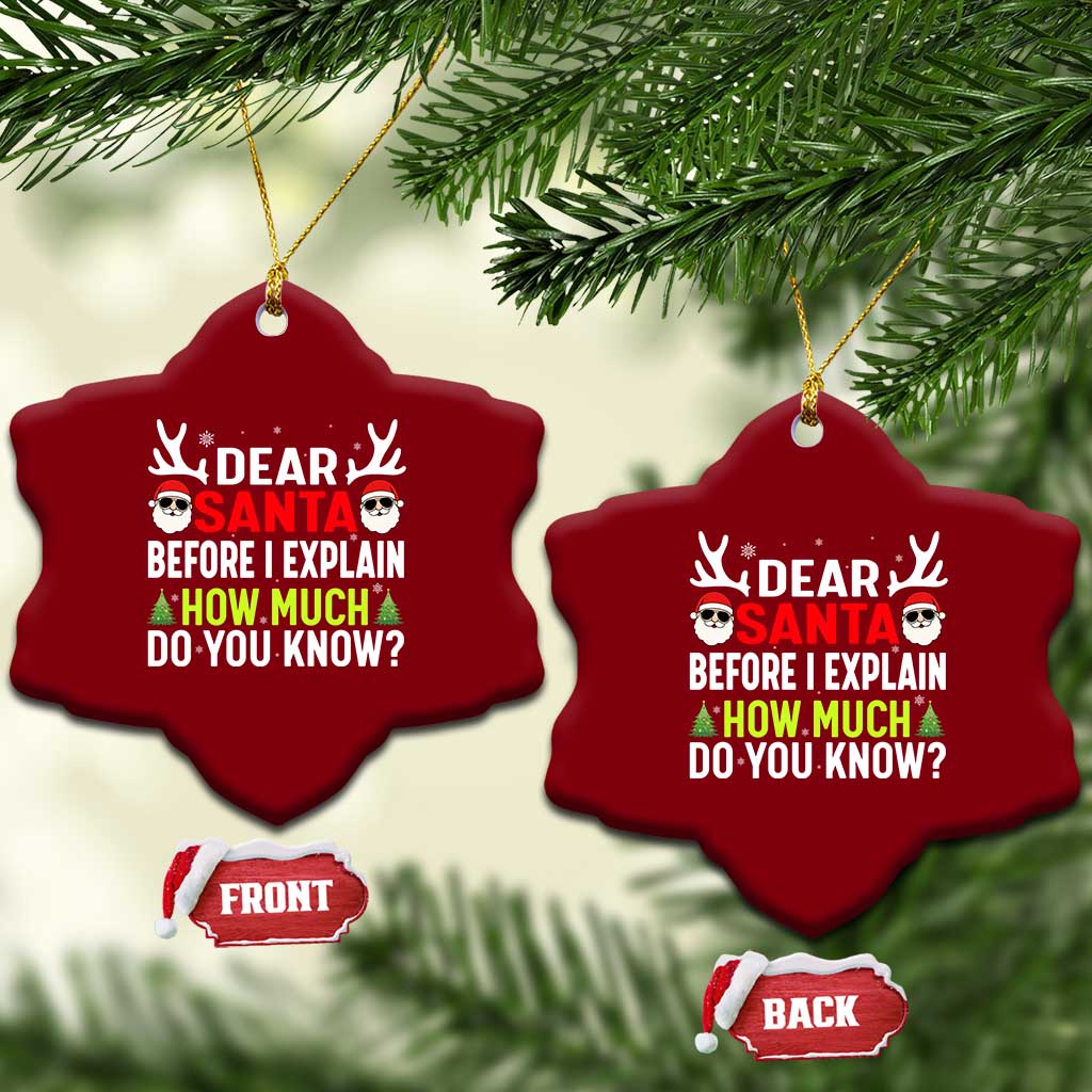 Funny Christmas Ceramic Ornament Dear Santa I Can Explain How Much Do You Know TS10 Print Your Wear