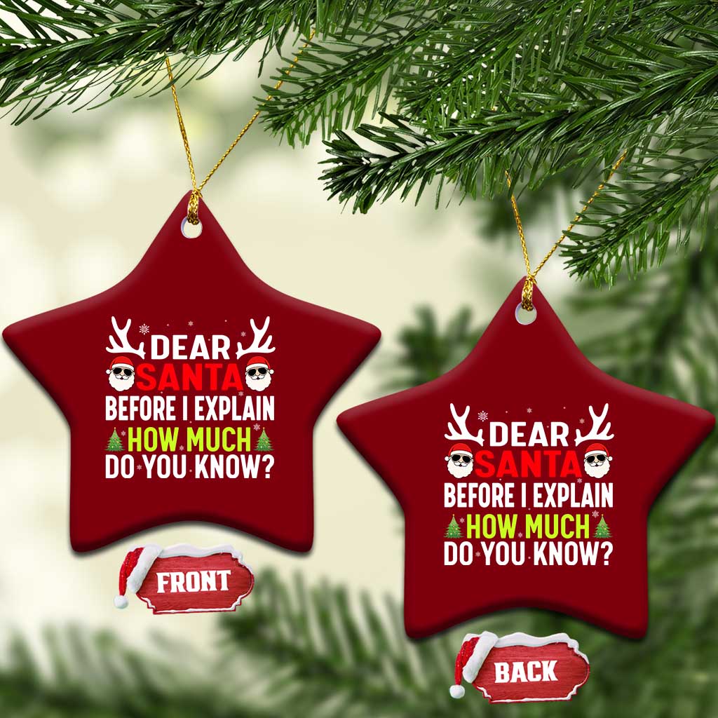 Funny Christmas Ceramic Ornament Dear Santa I Can Explain How Much Do You Know TS10 Print Your Wear