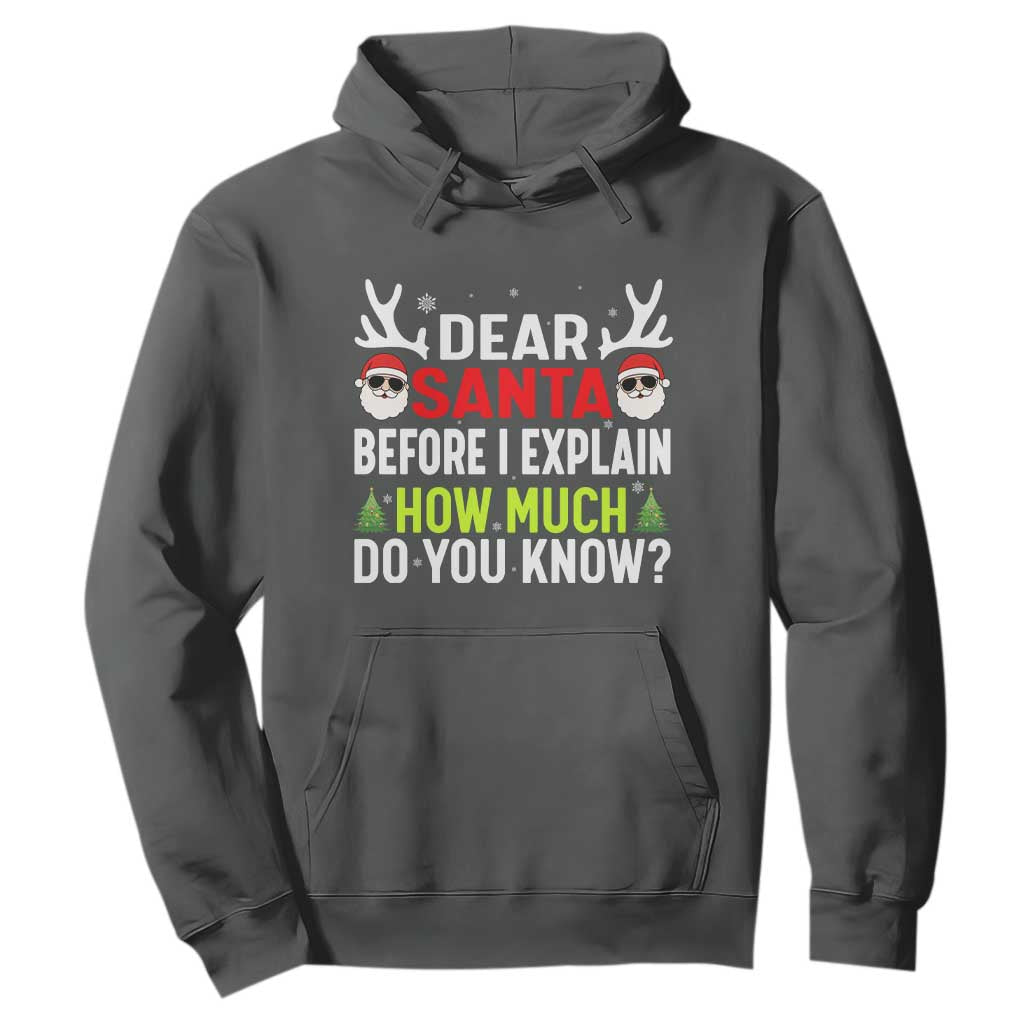 Funny Christmas Hoodie Dear Santa I Can Explain How Much Do You Know TS10 Dark Heather Print Your Wear