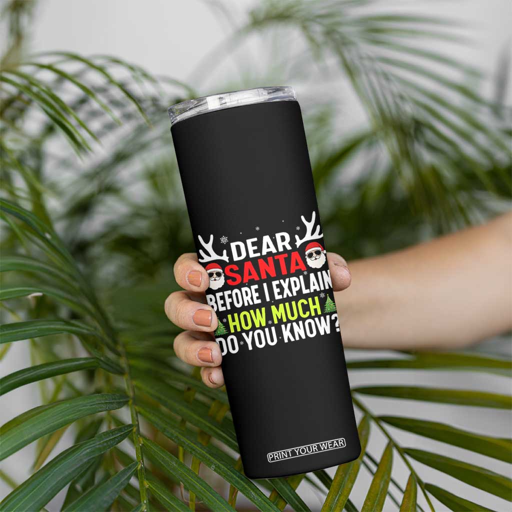 Funny Christmas Skinny Tumbler Dear Santa I Can Explain How Much Do You Know TS10 Print Your Wear