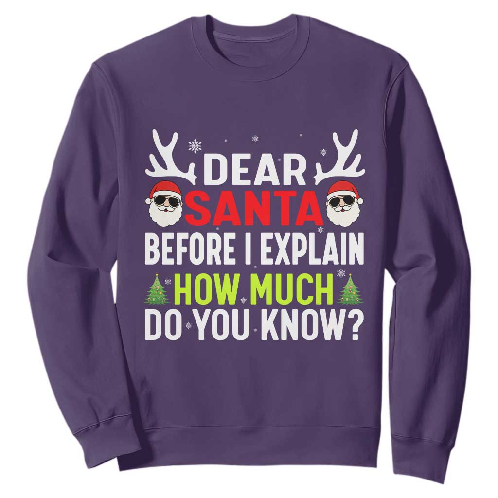 Funny Christmas Sweatshirt Dear Santa I Can Explain How Much Do You Know TS10 Purple Print Your Wear