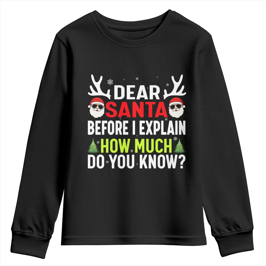 Funny Christmas Youth Sweatshirt Dear Santa I Can Explain How Much Do You Know TS10 Black Print Your Wear