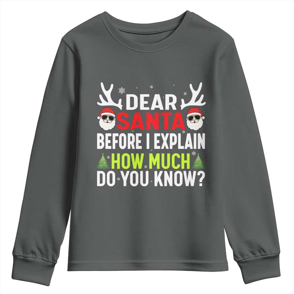 Funny Christmas Youth Sweatshirt Dear Santa I Can Explain How Much Do You Know TS10 Dark Heather Print Your Wear