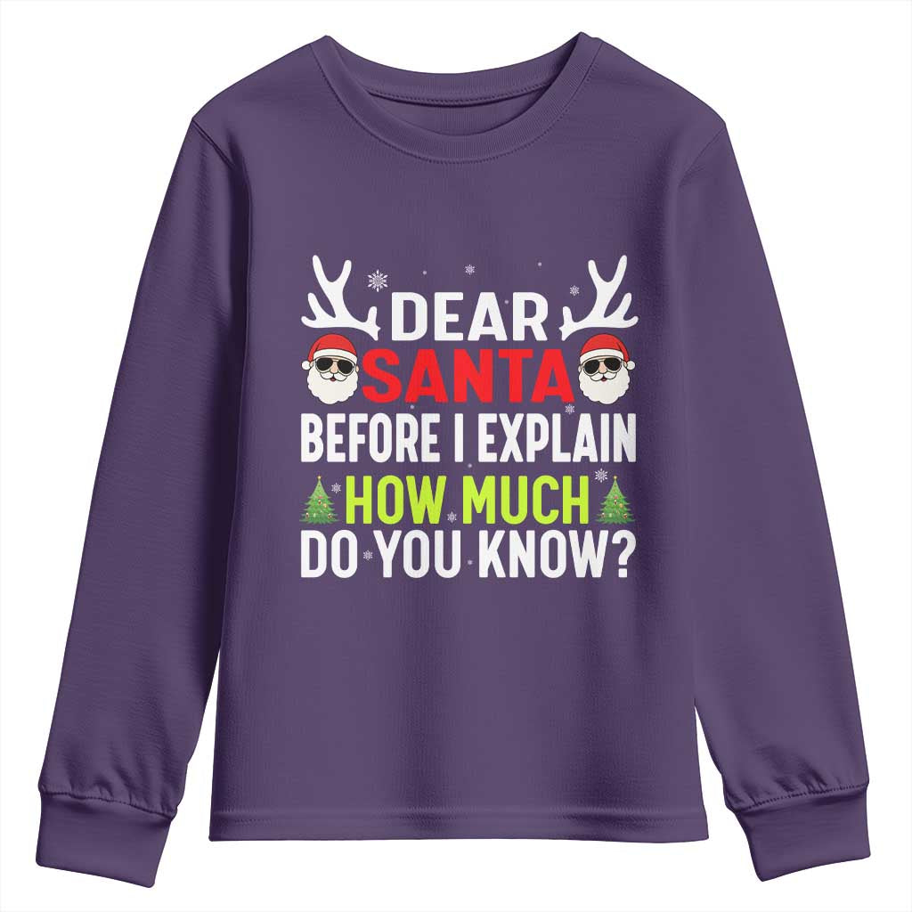 Funny Christmas Youth Sweatshirt Dear Santa I Can Explain How Much Do You Know TS10 Purple Print Your Wear